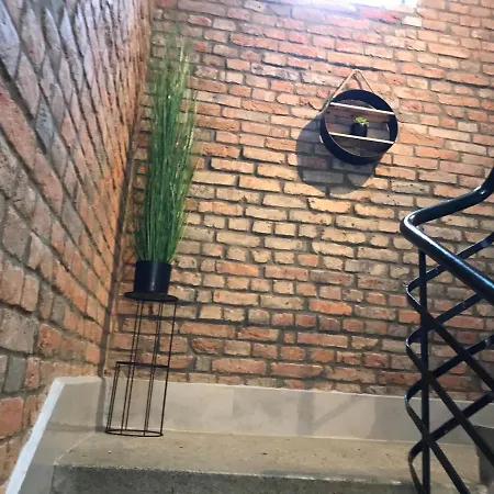 Loft 비스와